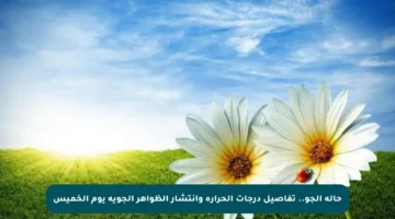 حالة الجو.. تفاصيل درجات الحرارة وانتشار الظواهر الجوية يوم الخميس